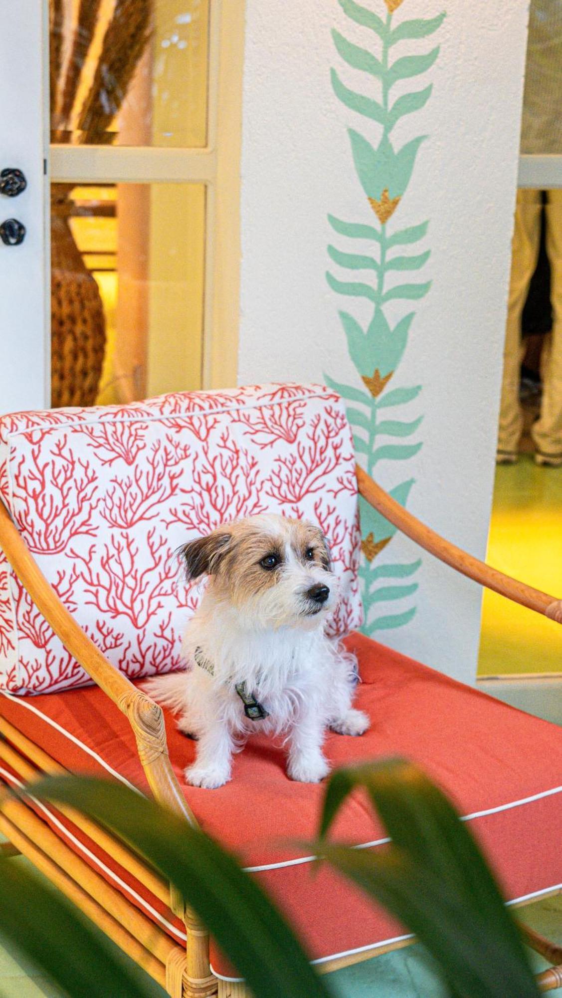 Hotel La Tartane Saint-Tropez Eksteriør bilde